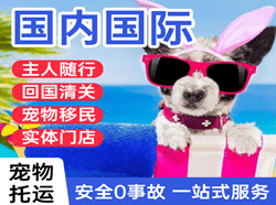 三家子机场托运国际宠物托运 【国